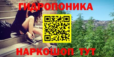 амф Балаково