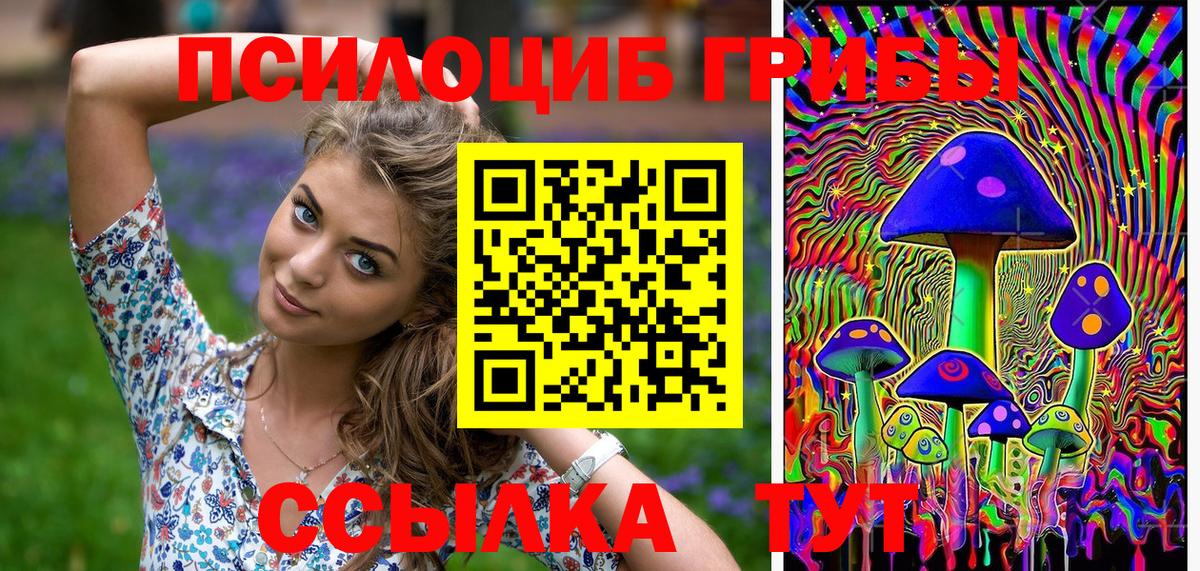 купить наркотики цена  Вход с VPN  Чусовой  Галлюциногенные грибы мицелий 